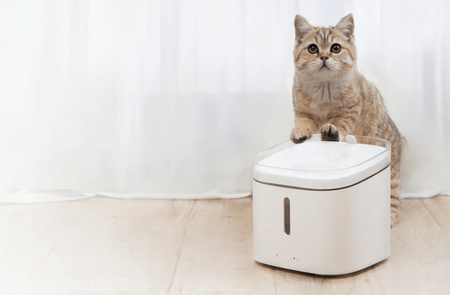 Dozownik wody Poidło Xiaomi Smart Pet Fountain Dla Kota Psa Pojemność 2L UK