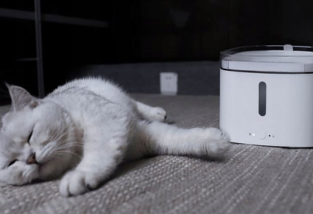 Dozownik wody Poidło Xiaomi Smart Pet Fountain Dla Kota Psa Pojemność 2L UK