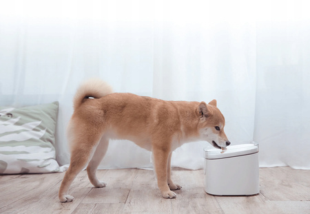 Dozownik wody Poidło Xiaomi Smart Pet Fountain Dla Kota Psa Pojemność 2L UK