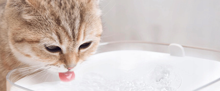 Dozownik wody Poidło Xiaomi Smart Pet Fountain Dla Kota Psa Pojemność 2L UK