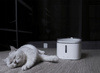 Dozownik wody Poidło Xiaomi Smart Pet Fountain Dla Kota Psa Pojemność 2L UK